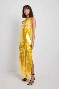 Big Sequins Midi Dress