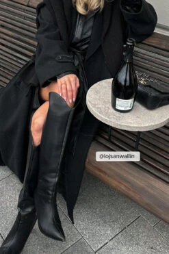 Pointy Stiletto Boots