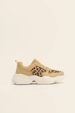 Leopard Trainers