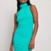 NA-KD Ribbed Turtle Neck Mini Dress -Na-Kd nakd ribbed turtle neck mini dress 1100 006624 0306 2478
