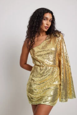 Shimmering Sequin Dress